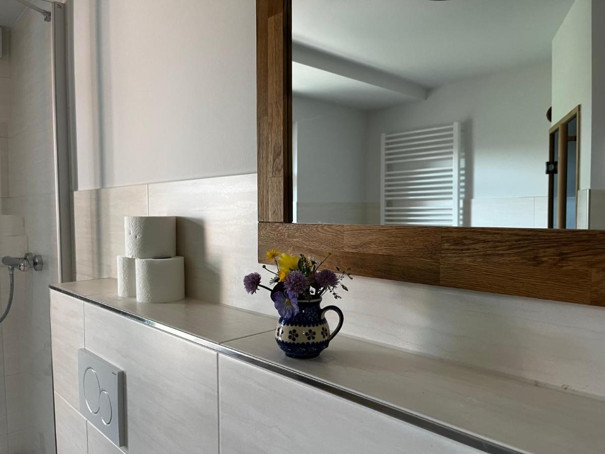 Apartment-Haus Landeskrone دريسدن المظهر الخارجي الصورة